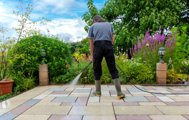 Best Fence Cleaning  in Wauchula, FL